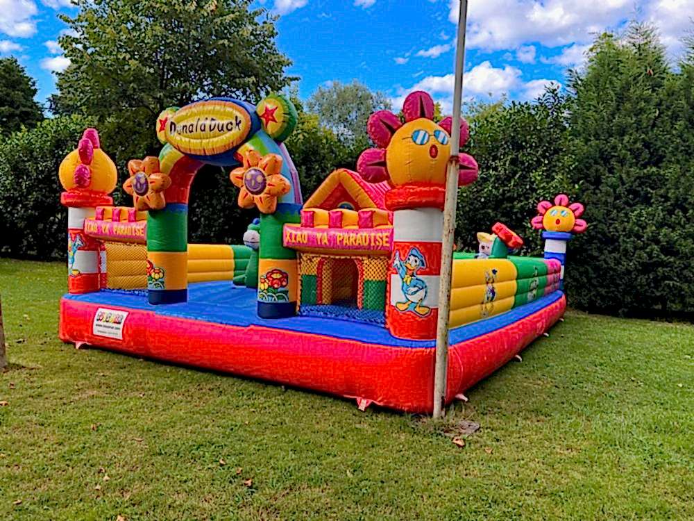 DONALD DUCK OYUN BAHÇESİ